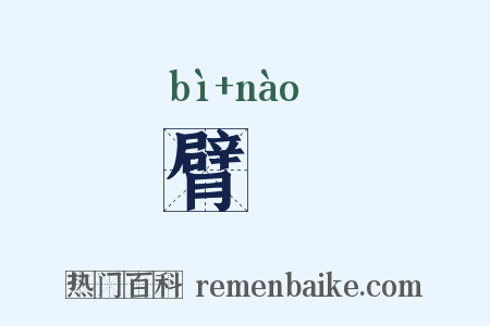 臂臑是什么意思的图片